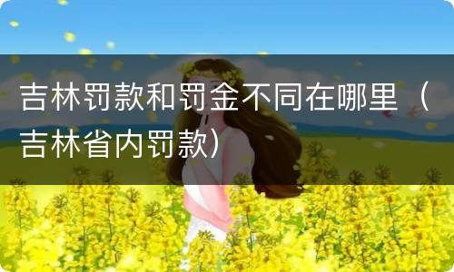 吉林罚款和罚金不同在哪里（吉林省内罚款）