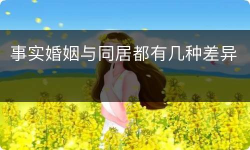 事实婚姻与同居都有几种差异