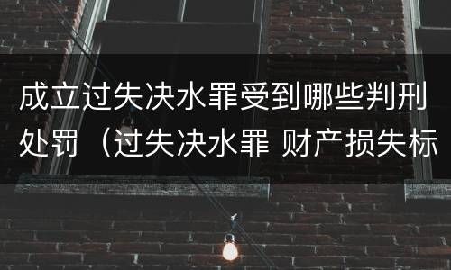 成立过失决水罪受到哪些判刑处罚（过失决水罪 财产损失标准）