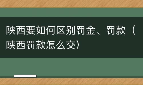 陕西要如何区别罚金、罚款（陕西罚款怎么交）