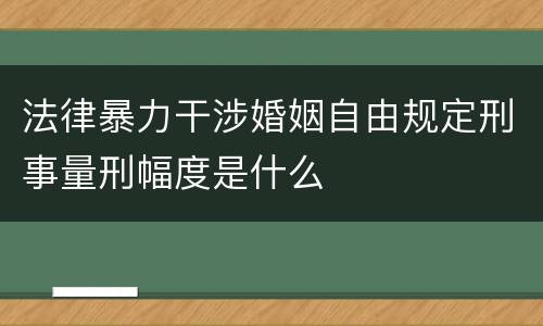 法律暴力干涉婚姻自由规定刑事量刑幅度是什么