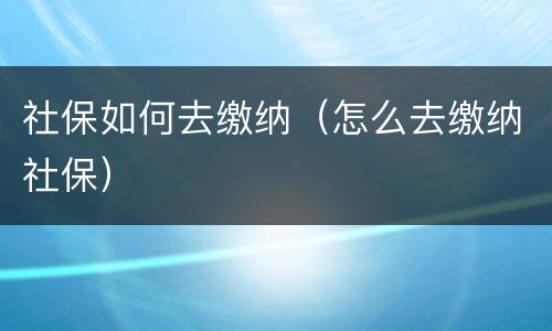社保如何去缴纳（怎么去缴纳社保）
