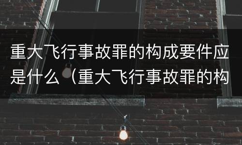 重大飞行事故罪的构成要件应是什么（重大飞行事故罪的构成要件应是什么内容）