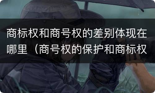 商标权和商号权的差别体现在哪里（商号权的保护和商标权的保护一样是全国性范围的）