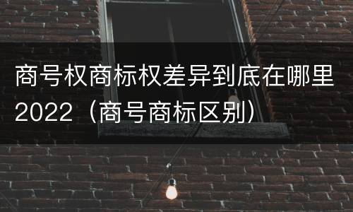 商号权商标权差异到底在哪里2022（商号商标区别）