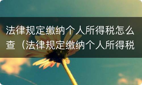 法律规定缴纳个人所得税怎么查（法律规定缴纳个人所得税怎么查的）
