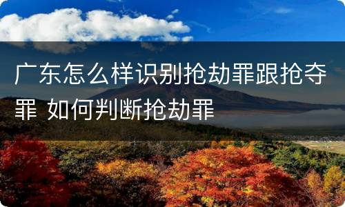 广东怎么样识别抢劫罪跟抢夺罪 如何判断抢劫罪