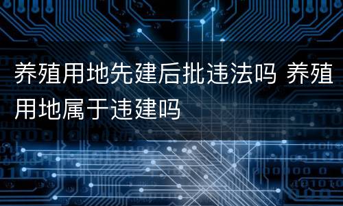 养殖用地先建后批违法吗 养殖用地属于违建吗