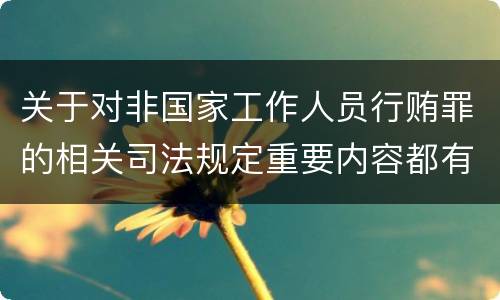 关于对非国家工作人员行贿罪的相关司法规定重要内容都有哪些