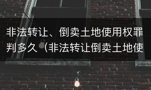 非法转让、倒卖土地使用权罪判多久（非法转让倒卖土地使用权罪情节严重的认定）