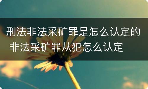 刑法非法采矿罪是怎么认定的 非法采矿罪从犯怎么认定