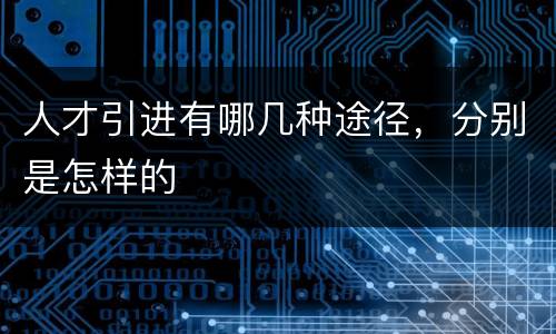 人才引进有哪几种途径，分别是怎样的