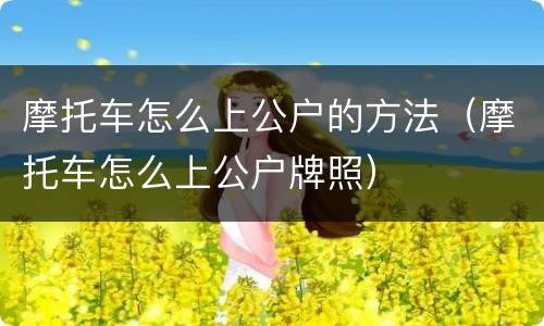 摩托车怎么上公户的方法（摩托车怎么上公户牌照）