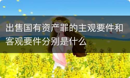 出售国有资产罪的主观要件和客观要件分别是什么