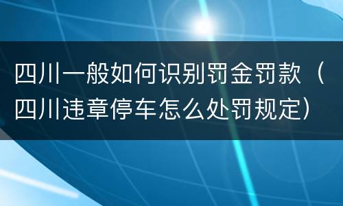 四川一般如何识别罚金罚款（四川违章停车怎么处罚规定）