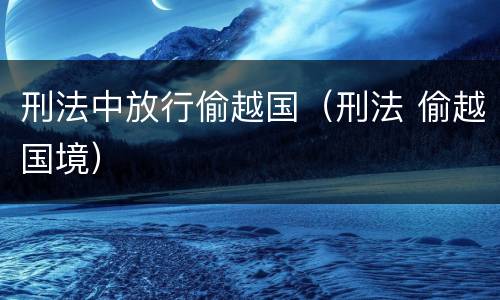 刑法中放行偷越国（刑法 偷越国境）