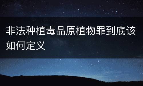 非法种植毒品原植物罪到底该如何定义