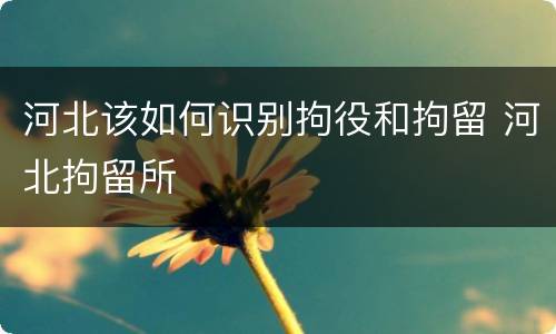 河北该如何识别拘役和拘留 河北拘留所