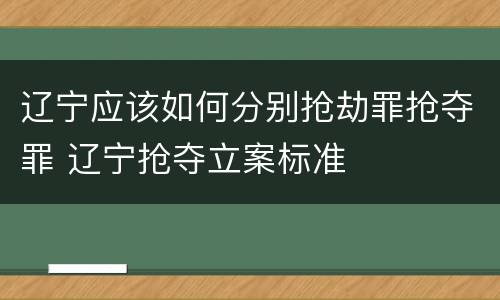 辽宁应该如何分别抢劫罪抢夺罪 辽宁抢夺立案标准