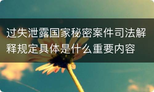 过失泄露国家秘密案件司法解释规定具体是什么重要内容