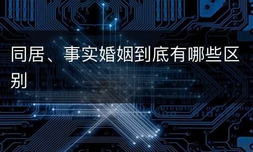 同居、事实婚姻到底有哪些区别
