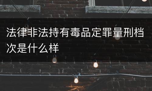 法律非法持有毒品定罪量刑档次是什么样