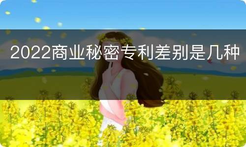 2022商业秘密专利差别是几种
