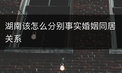 湖南该怎么分别事实婚姻同居关系