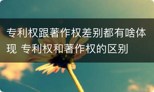 专利权跟著作权差别都有啥体现 专利权和著作权的区别