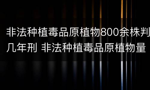 非法种植毒品原植物800余株判几年刑 非法种植毒品原植物量刑