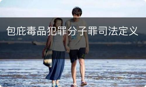 包庇毒品犯罪分子罪司法定义