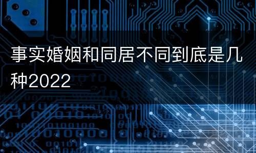 事实婚姻和同居不同到底是几种2022