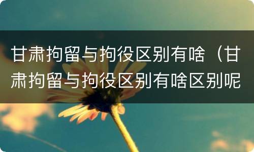 甘肃拘留与拘役区别有啥（甘肃拘留与拘役区别有啥区别呢）