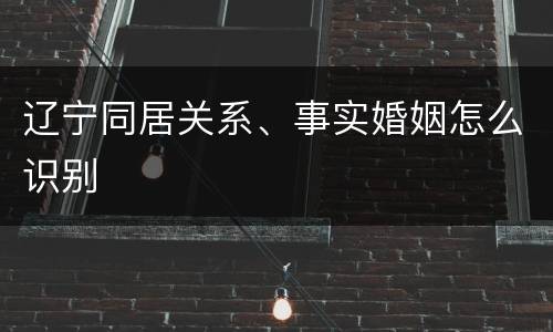 辽宁同居关系、事实婚姻怎么识别