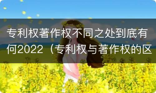 专利权著作权不同之处到底有何2022（专利权与著作权的区别与联系）
