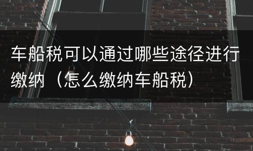 车船税可以通过哪些途径进行缴纳（怎么缴纳车船税）