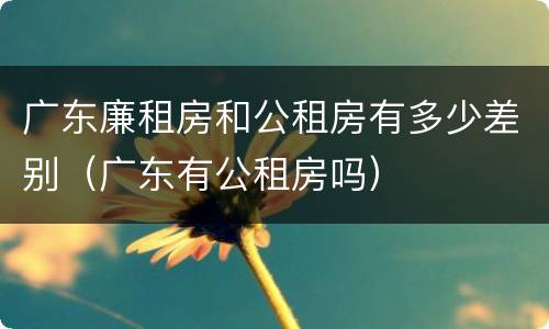 广东廉租房和公租房有多少差别（广东有公租房吗）