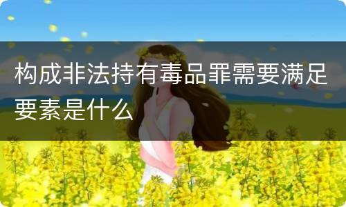 构成非法持有毒品罪需要满足要素是什么