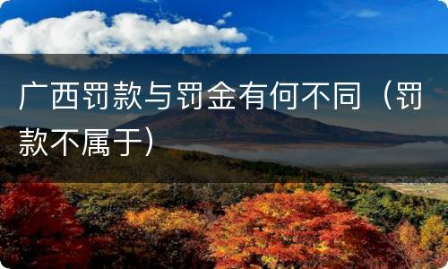 广西罚款与罚金有何不同（罚款不属于）