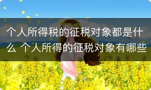 个人所得税的征税对象都是什么 个人所得的征税对象有哪些