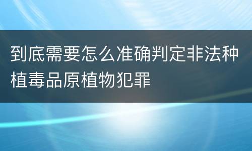 到底需要怎么准确判定非法种植毒品原植物犯罪