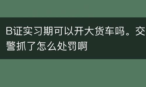B证实习期可以开大货车吗。交警抓了怎么处罚啊