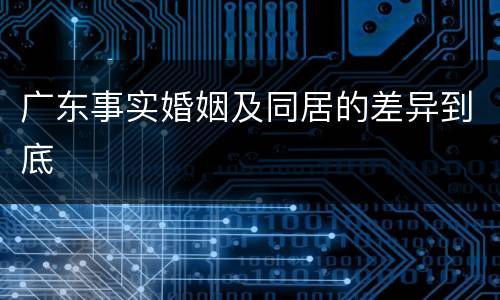 广东事实婚姻及同居的差异到底