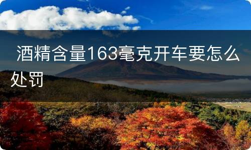  酒精含量163毫克开车要怎么处罚