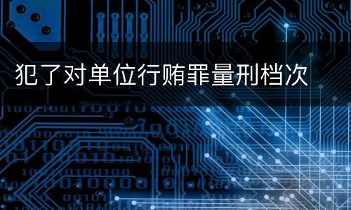 犯了对单位行贿罪量刑档次