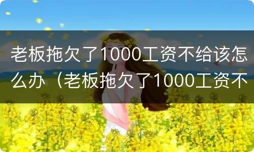 老板拖欠了1000工资不给该怎么办（老板拖欠了1000工资不给该怎么办呀）