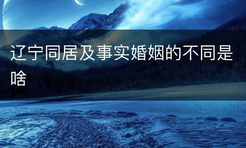 辽宁同居及事实婚姻的不同是啥