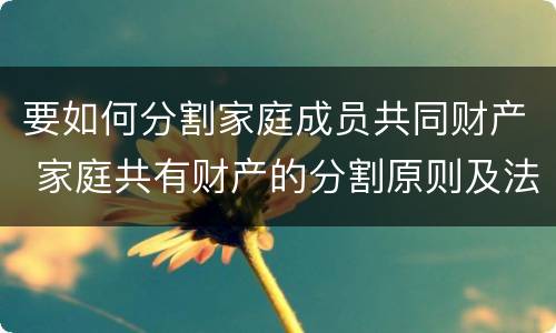 要如何分割家庭成员共同财产 家庭共有财产的分割原则及法律依据