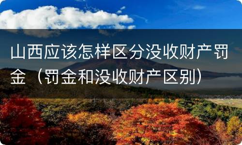 山西应该怎样区分没收财产罚金（罚金和没收财产区别）
