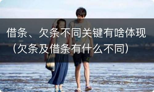 借条、欠条不同关键有啥体现（欠条及借条有什么不同）